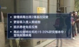 印度政府爆料视频最新版,揭秘事件真相与内幕