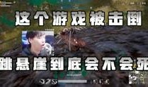 阿飞视频爆料大全最新版,揭秘娱乐圈幕后真相