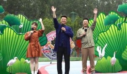 厦门广电爆料事件视频最新,真相揭秘，舆论漩涡中的最新进展